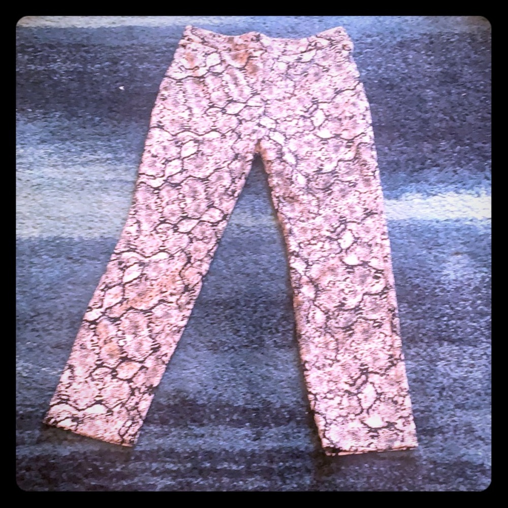 Express dress pants
